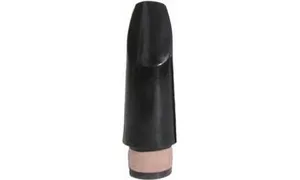 Y24